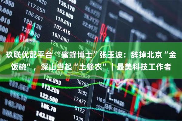 玖联优配平台 “蜜蜂博士”张玉波：辞掉北京“金饭碗”，深山当起“土蜂农”｜最美科技工作者